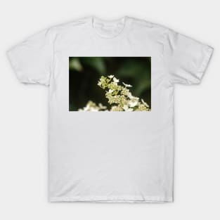 White Flowers of Summer T-Shirt